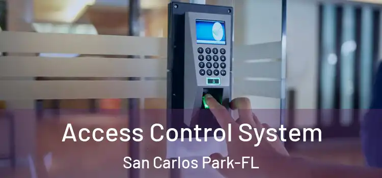 Access Control System San Carlos Park-FL