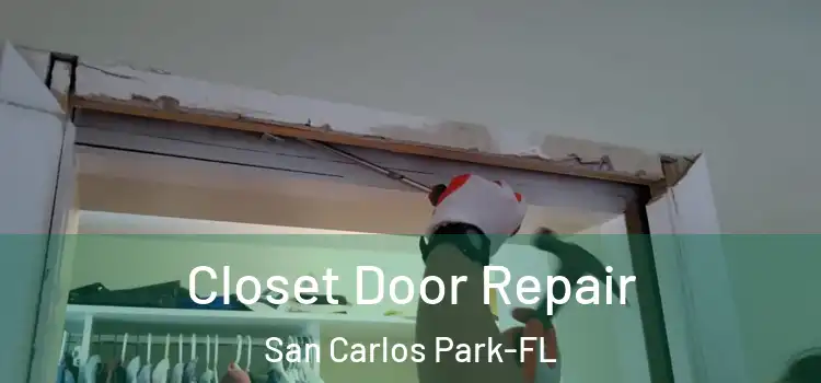  Closet Door Repair San Carlos Park-FL