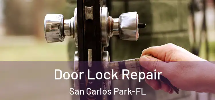  Door Lock Repair San Carlos Park-FL
