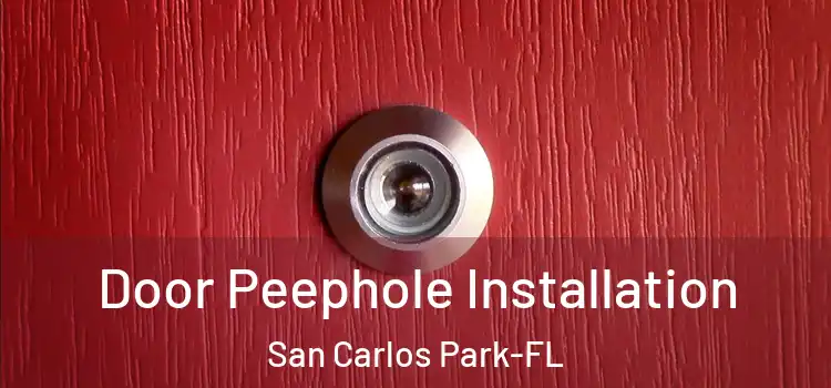 Door Peephole Installation San Carlos Park-FL