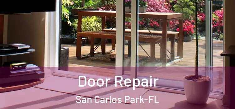  Door Repair San Carlos Park-FL