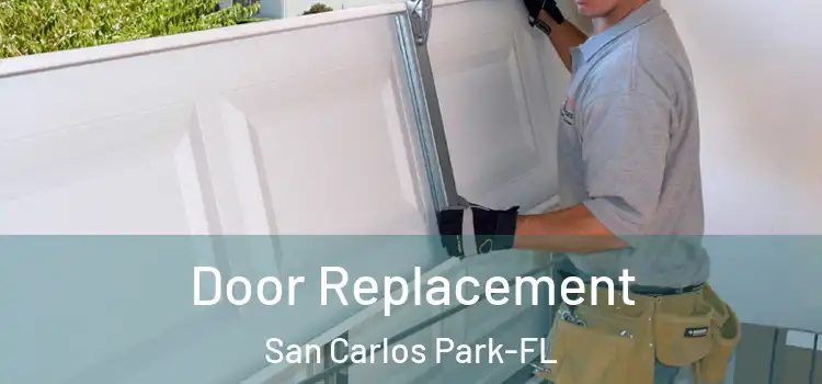 Door Replacement San Carlos Park-FL