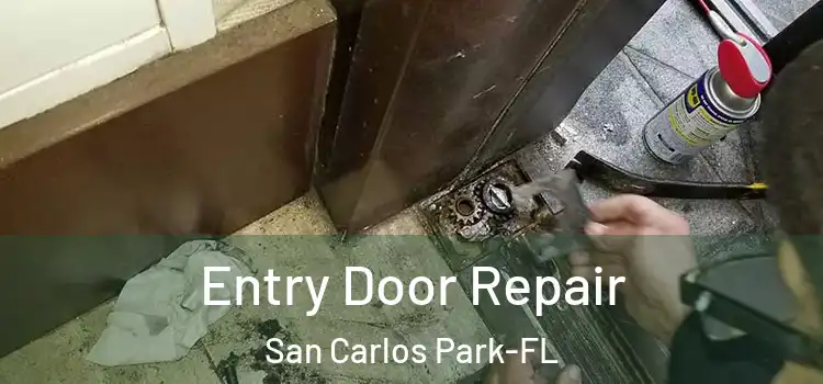  Entry Door Repair San Carlos Park-FL