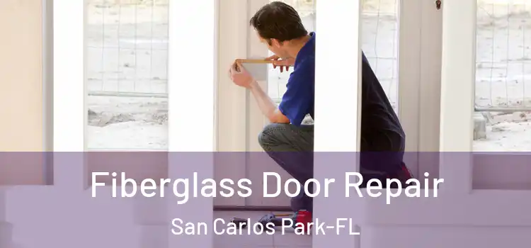  Fiberglass Door Repair San Carlos Park-FL