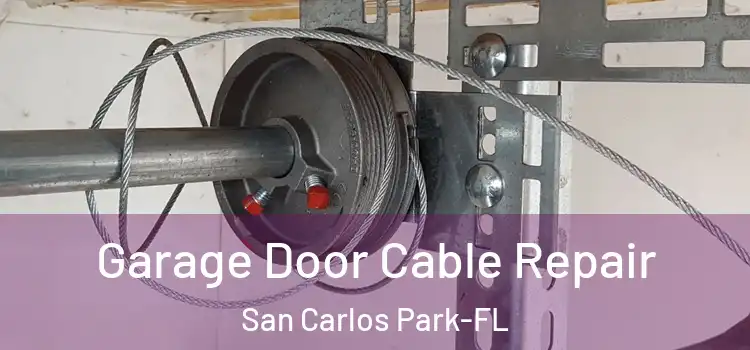  Garage Door Cable Repair San Carlos Park-FL