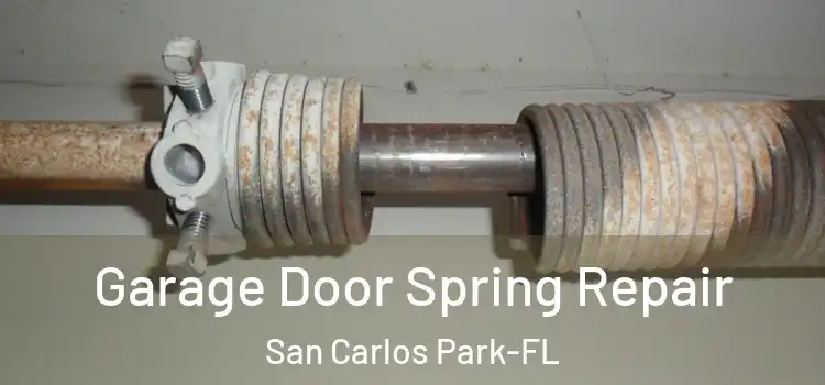 Garage Door Spring Repair San Carlos Park-FL