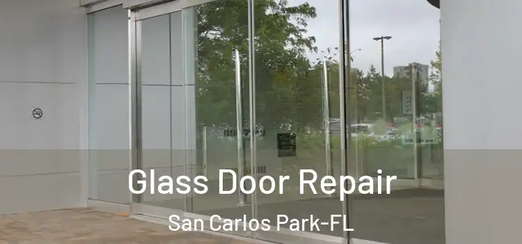 Glass Door Repair San Carlos Park-FL