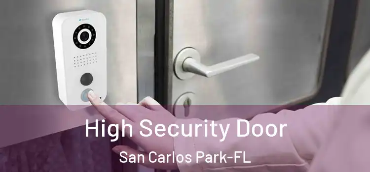 High Security Door San Carlos Park-FL