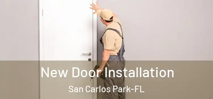 New Door Installation San Carlos Park-FL