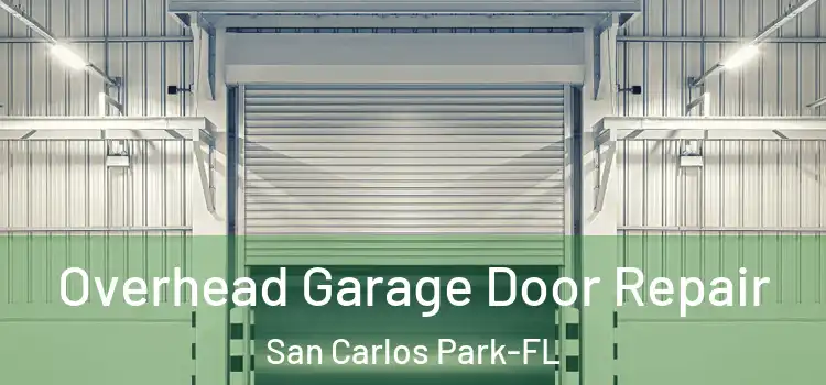  Overhead Garage Door Repair San Carlos Park-FL