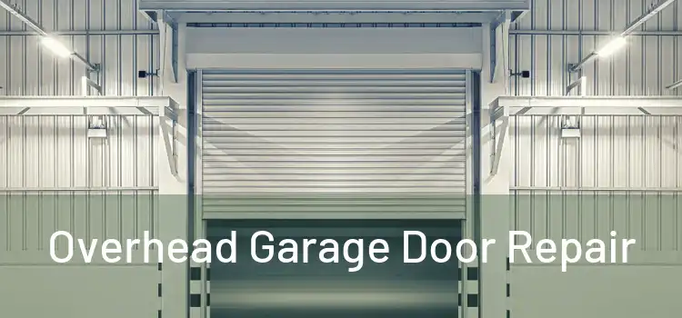  Overhead Garage Door Repair 