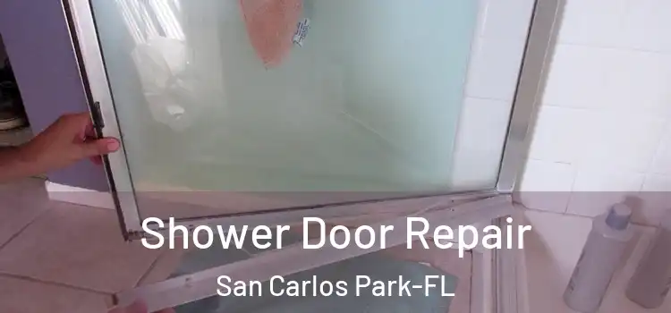  Shower Door Repair San Carlos Park-FL