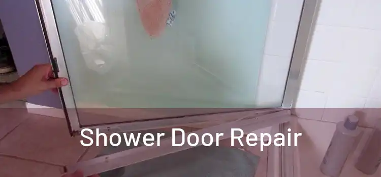  Shower Door Repair 