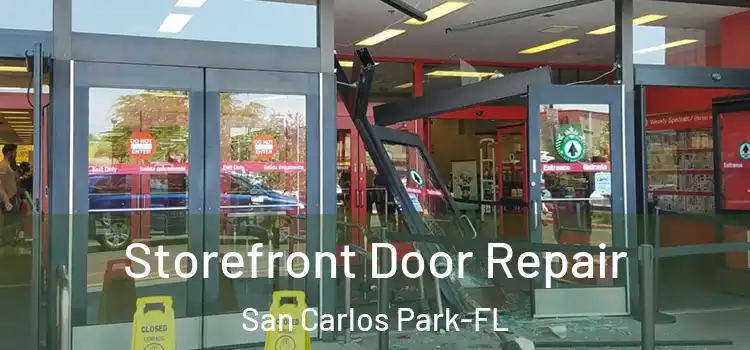  Storefront Door Repair San Carlos Park-FL