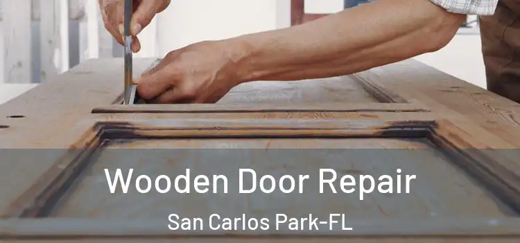  Wooden Door Repair San Carlos Park-FL